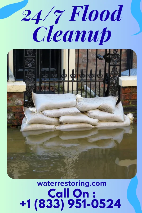 24/7 Flood Cleanup in Hillsboro, VA