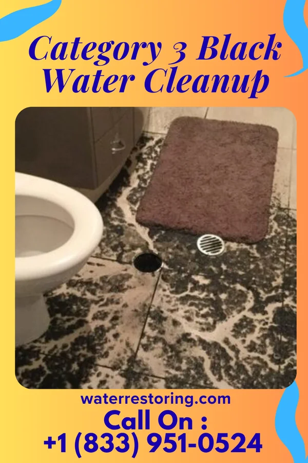 Category 3 Black Water Cleanup in Hillsboro, VA