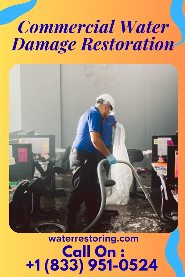 Commercial Water Damage Restoration in Hillsboro, VA
