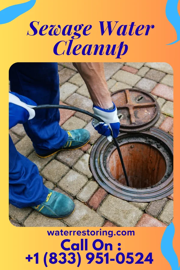 Sewage Water Cleanup in Hillsboro, VA